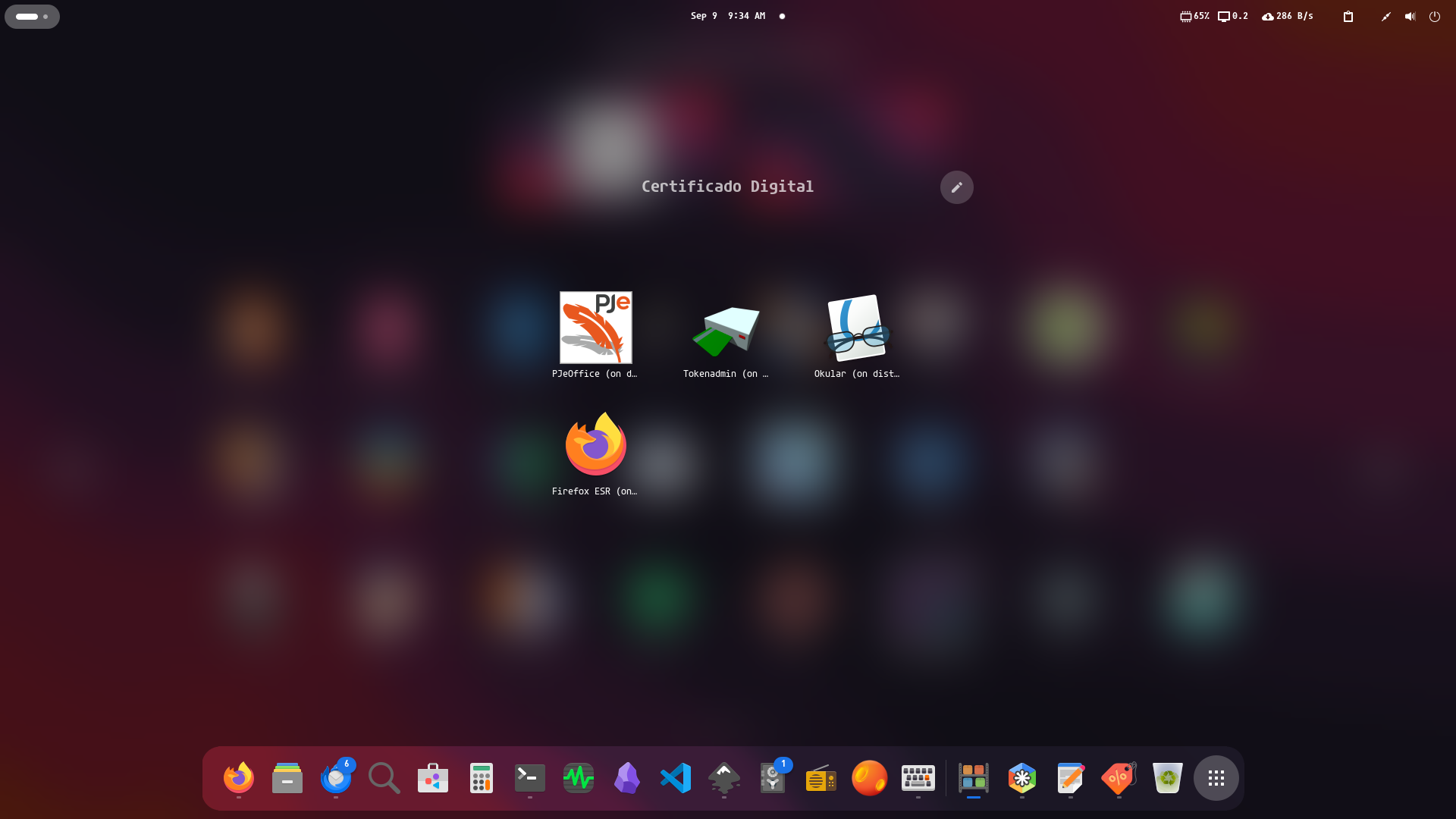 Tela com programas distrobox-adv-br