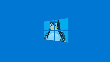 Substituindo o Windows 10 pelo Linux. Qual escolher?