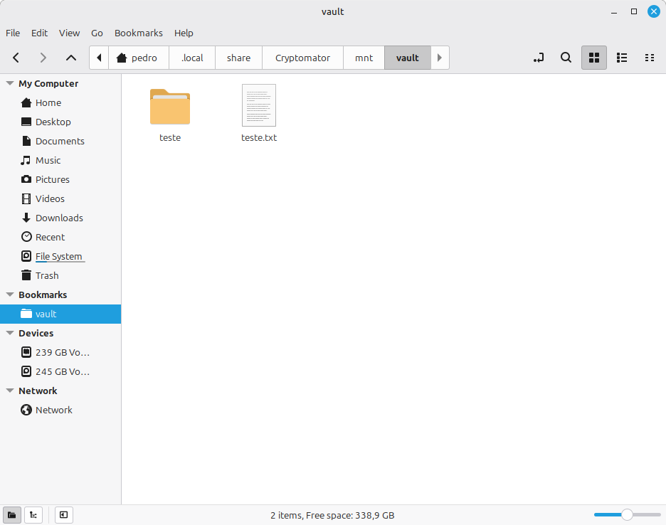 No Linux Mint, os arquivos podem ser acessados no gerenciador de arquivos