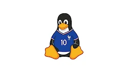 França começa plano oficial para trocar Windows por Linux no governo